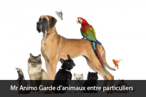 Mr Animo Garde d'animaux entre particuliers